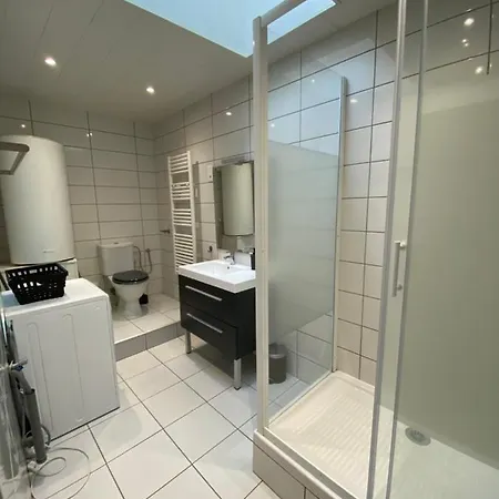 Apartment Les Cosy De - Mister Charles Sous Les Toits, Place Du Marche 4* Nancy