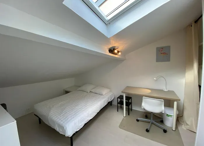 Les Cosy De - Mister Charles Sous Les Toits, Place Du Marche 4* Nancy