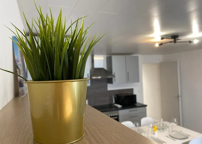 Les Cosy De - Mister Charles Sous Les Toits, Place Du Marche 4* *