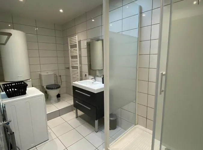 Apartment Les Cosy De - Mister Charles Sous Les Toits, Place Du Marche 4* Nancy